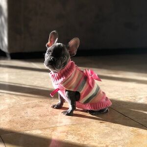 Striped Pink Doggy Sweater with Bow